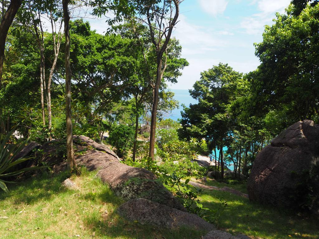 Ao Muong Beach Resort Koh Tao Eksteriør billede